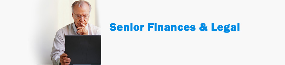 senior financial legal